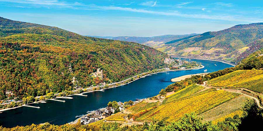 Admiring the Rhine Gorge
