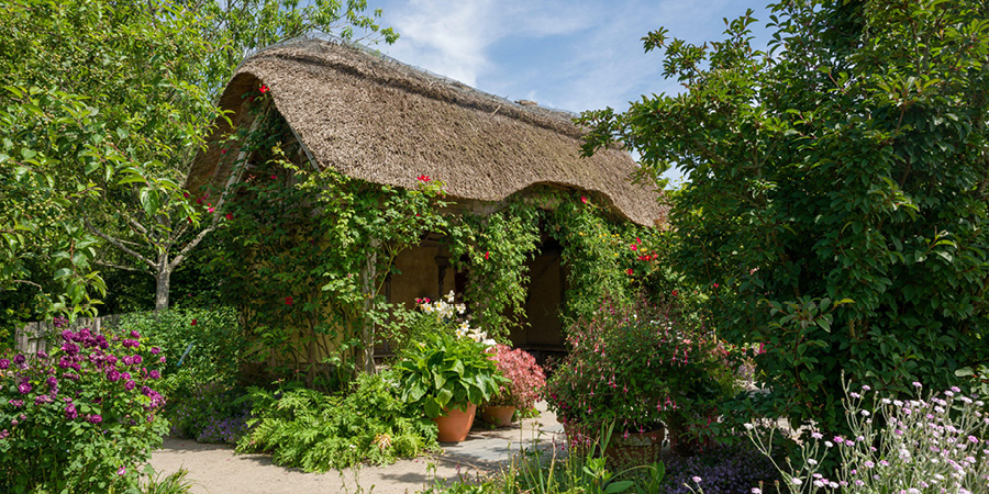 Admiring the beauty at RHS Garden Rosemoor