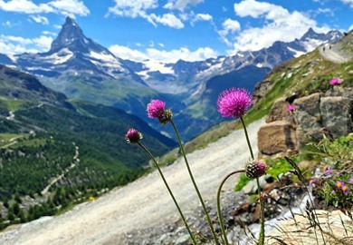 Matterhorn Trail